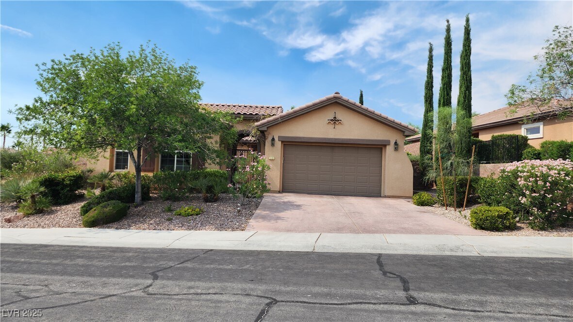 11737 Feinberg Pl in Las Vegas, NV - Building Photo