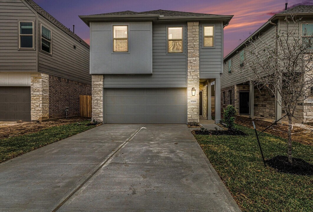 17219 Walden Lk Ln in Hockley, TX - Building Photo