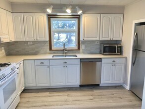 100 Ash St in Lake Zurich, IL - Building Photo - Building Photo