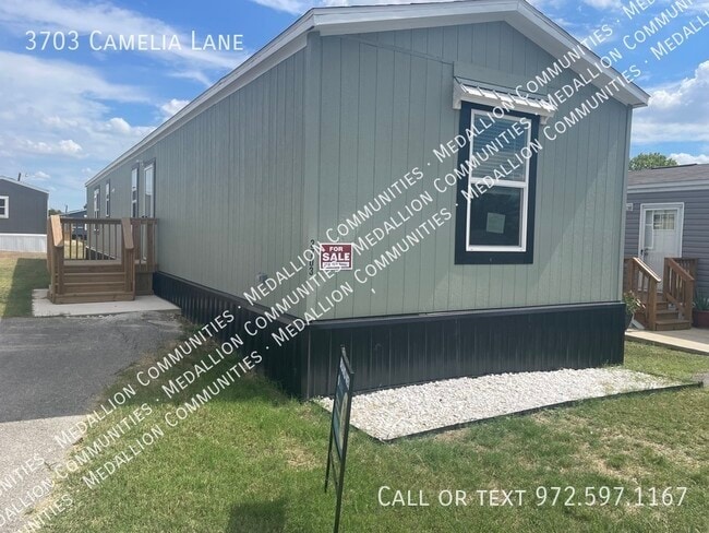 3703 Camelia
