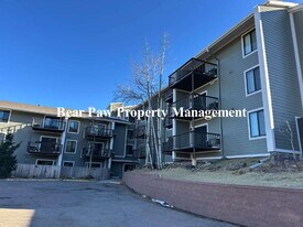 31270 John Wallace Rd in Evergreen, CO - Building Photo