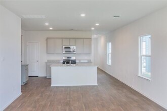 361 Sandringham Lp in Kyle, TX - Building Photo - Building Photo