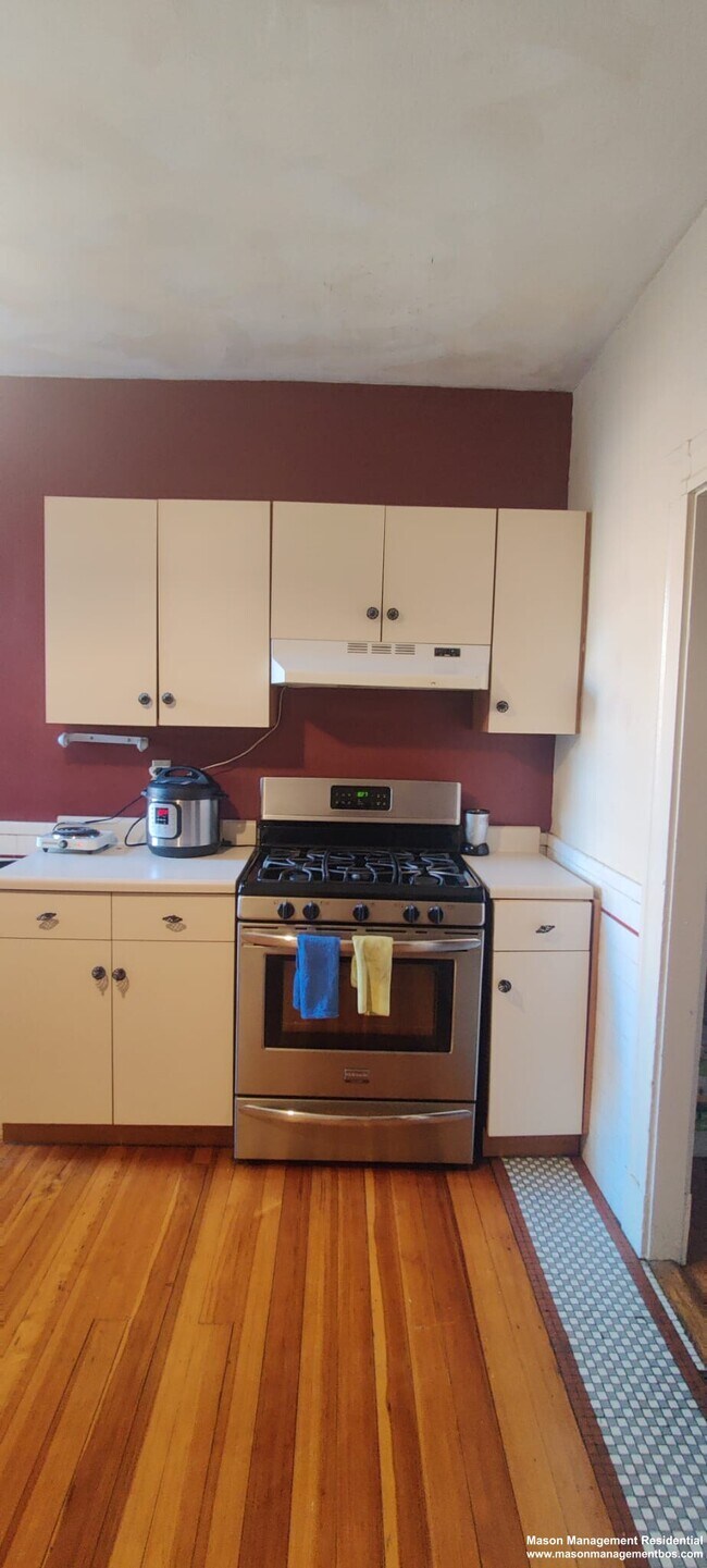 317 Saint Paul St, Unit 1 in Brookline, MA - Building Photo - Building Photo