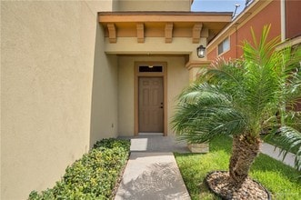 800 E Upas Ave in McAllen, TX - Building Photo - Building Photo