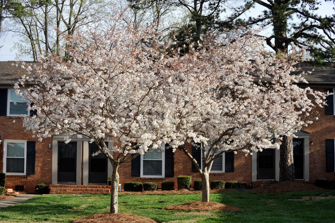 Kilborne Apartments in Charlotte, NC - Foto de edificio