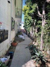 811 Broadway St in Venice, CA - Building Photo - Building Photo