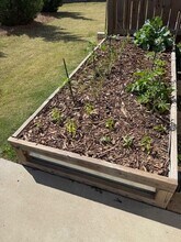 5036 Silver Fox Trl in Oakwood, GA - Building Photo - Building Photo