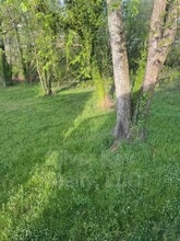 212 S Jackson St in Athens, TN - Building Photo - Building Photo