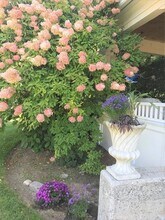 35 Grafton St in Shrewsbury, MA - Building Photo - Building Photo