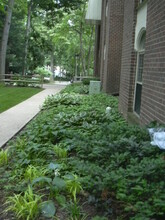 3354 Woodburn Rd, Unit 24 in Annandale, VA - Foto de edificio - Building Photo