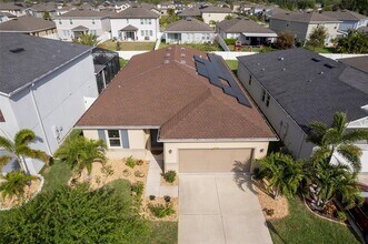 11517 Palmetto Sands Ct in Tampa, FL - Building Photo - Building Photo