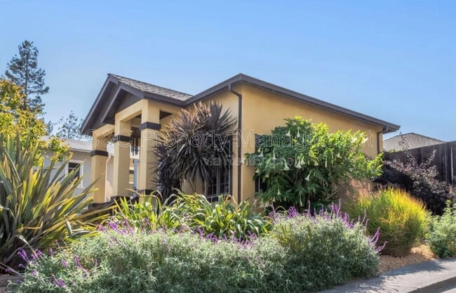 151 Daniels Ave in Vallejo, CA - Foto de edificio - Building Photo