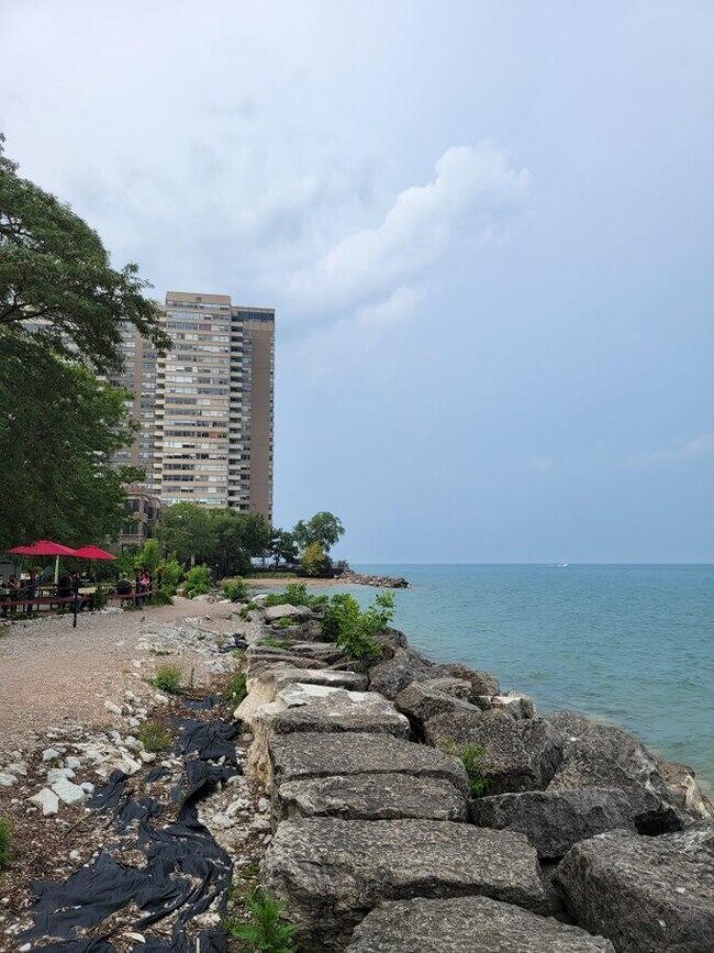 6325 N Sheridan Rd-Unit -1804 in Chicago, IL - Building Photo - Building Photo