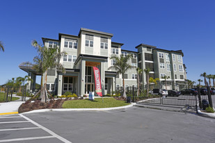 Charleston on 66th in Largo, FL - Foto de edificio - Building Photo