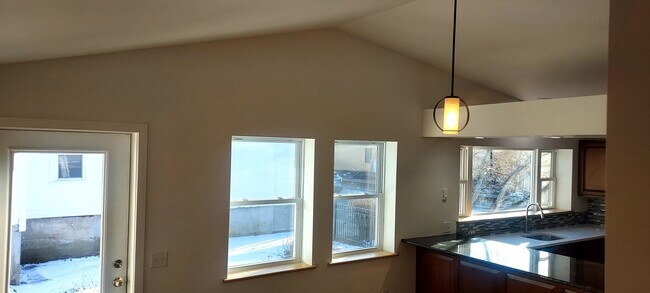 321 N Fulton St, Unit #1 in Ithaca, NY - Foto de edificio - Building Photo