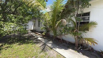 817 NW 10th St in Hallandale Beach, FL - Building Photo