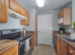 3700 Castle Pines Ln in Orlando, FL - Building Photo - Building Photo