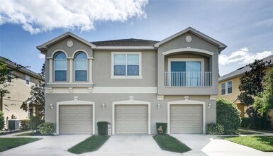 8845 Moonlit Meadows Loop in Riverview, FL - Building Photo - Building Photo