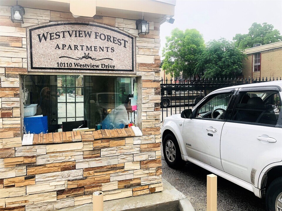 10110 Westview Dr in Houston, TX - Building Photo
