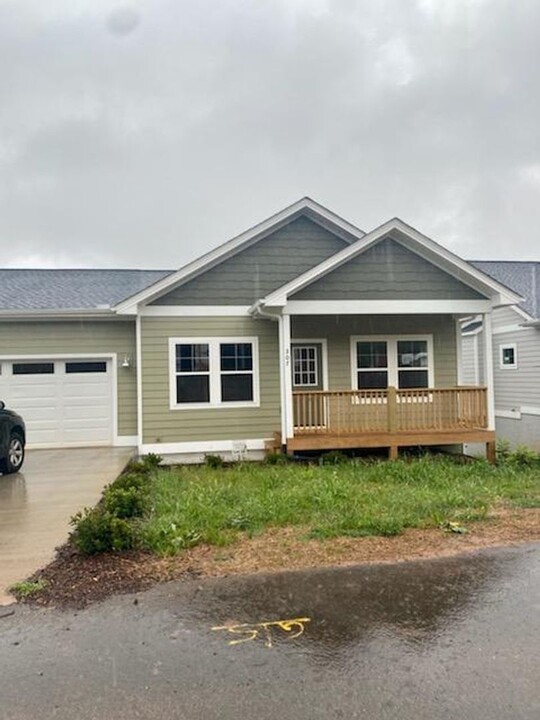 307 Golden Fields Ln in Woodfin, NC - Building Photo