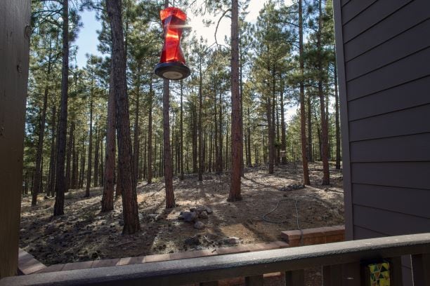 3795 S Brush Arbor in Flagstaff, AZ - Foto de edificio - Building Photo