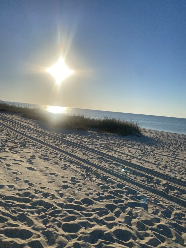 property at 281 Caillavet St