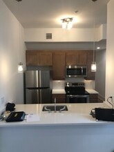 302 E Grace St, Unit 202 in Richmond, VA - Building Photo - Building Photo