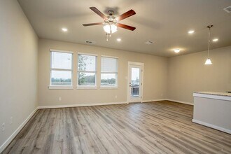 601 Fiery Skipper Dr in Pflugerville, TX - Building Photo - Building Photo