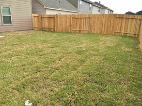 19035 Treviso Terrace Ln in Katy, TX - Building Photo - Building Photo