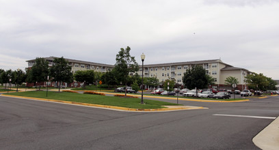 Wingler House in Ashburn, VA - Building Photo - Building Photo