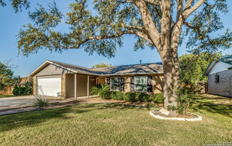 12218 Brownstone St in Live Oak, TX - Building Photo