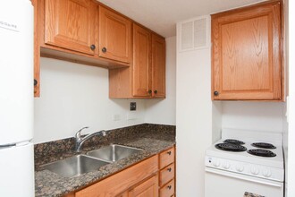 4180 N Marine Dr in Chicago, IL - Building Photo - Building Photo
