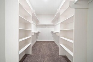 23202 Sawleaf Cir in Katy, TX - Building Photo