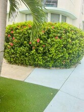 315 W 28th St in Miami Beach, FL - Foto de edificio - Building Photo