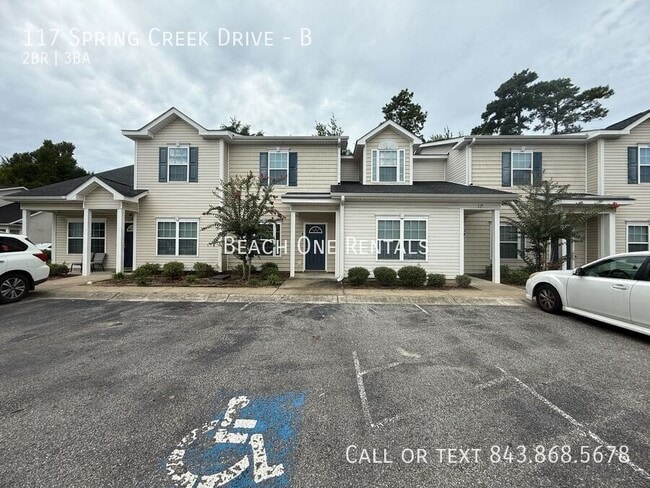 117 Spring Creek Dr