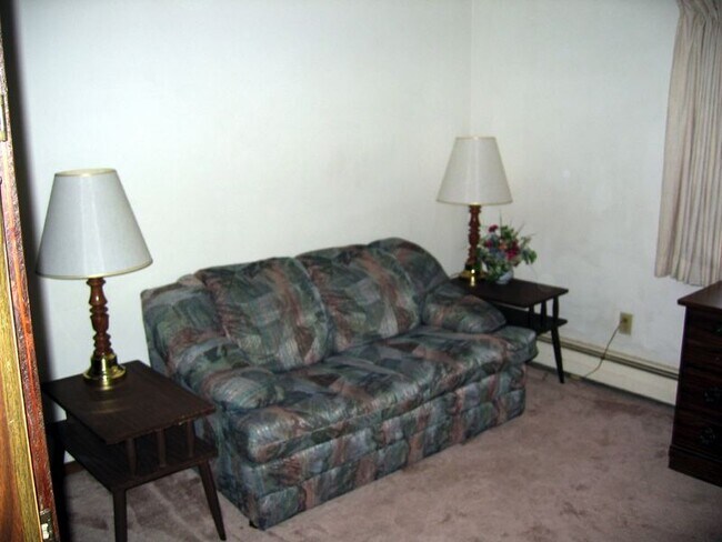 522 W Wilson St in Madison, WI - Building Photo - Building Photo