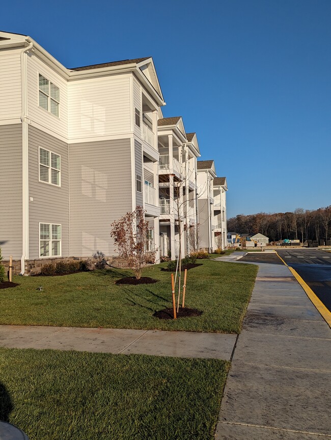 College Park Apartments and Rental Homes in Georgetown, DE - Foto de edificio - Building Photo