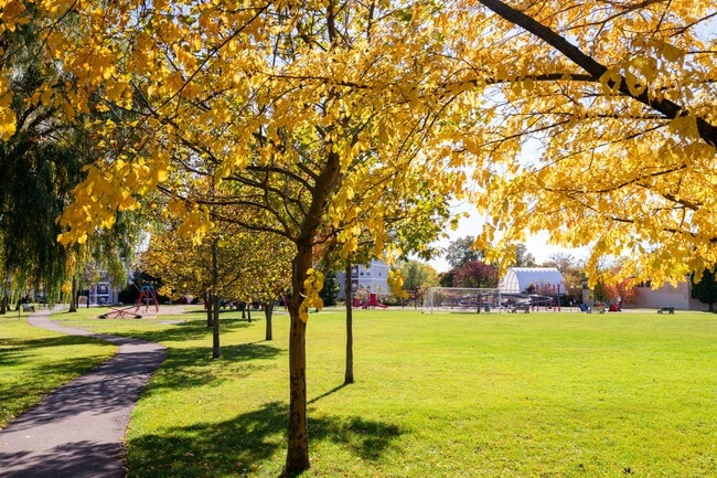 Apartments for rent in Williamsville, NY