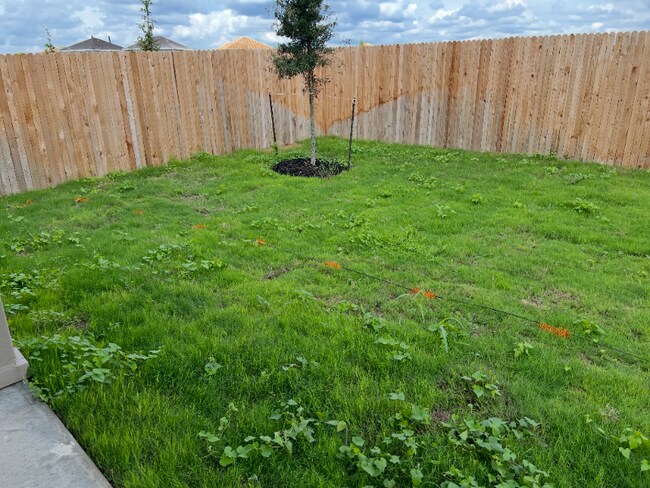 14627 Sweet Clover in San Antonio, TX - Building Photo - Building Photo