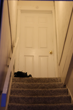 35 High St-Unit -Apt 1 in Bristol, NH - Building Photo - Building Photo