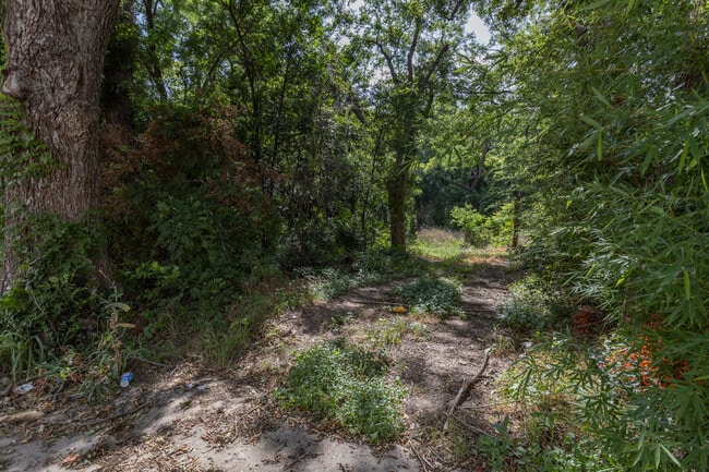Shady Lane