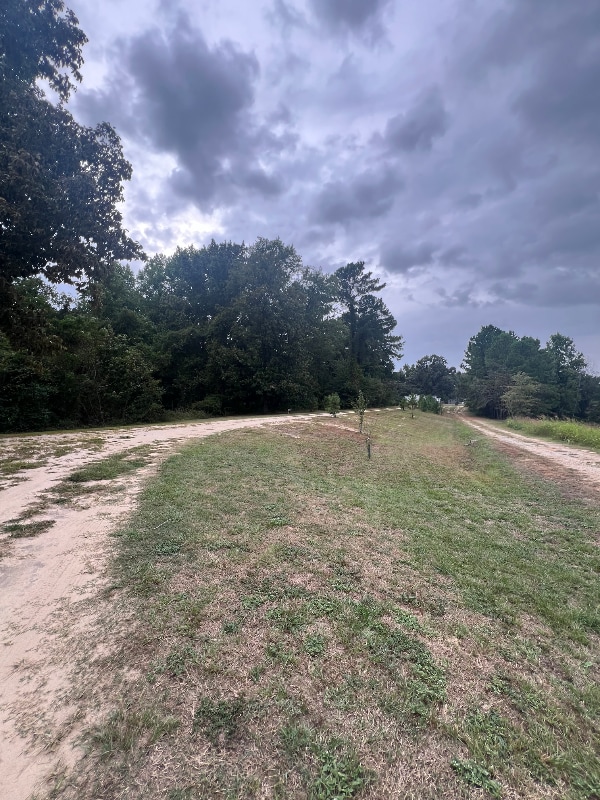2260 Grandview Dr in Florence, SC - Building Photo - Building Photo