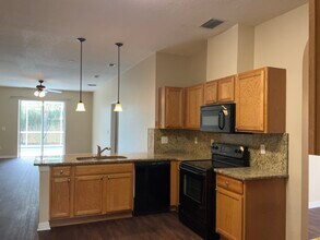 19053 Tilobe Loop in Land O Lakes, FL - Building Photo - Building Photo