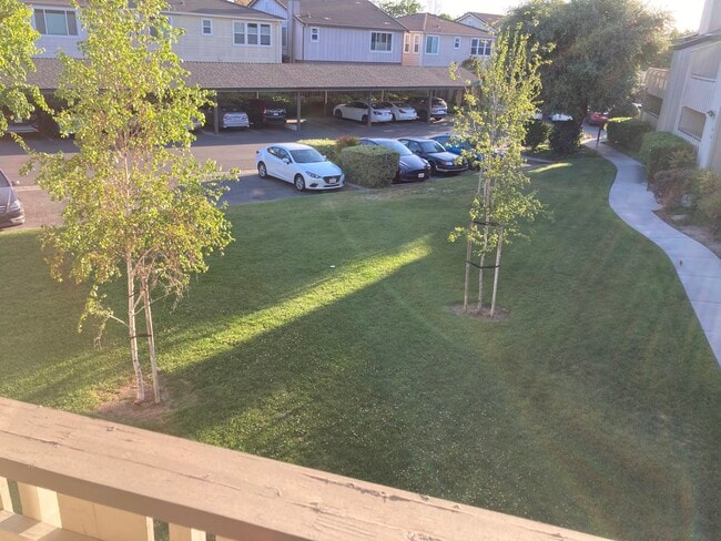 property at 1469 Alma Loop