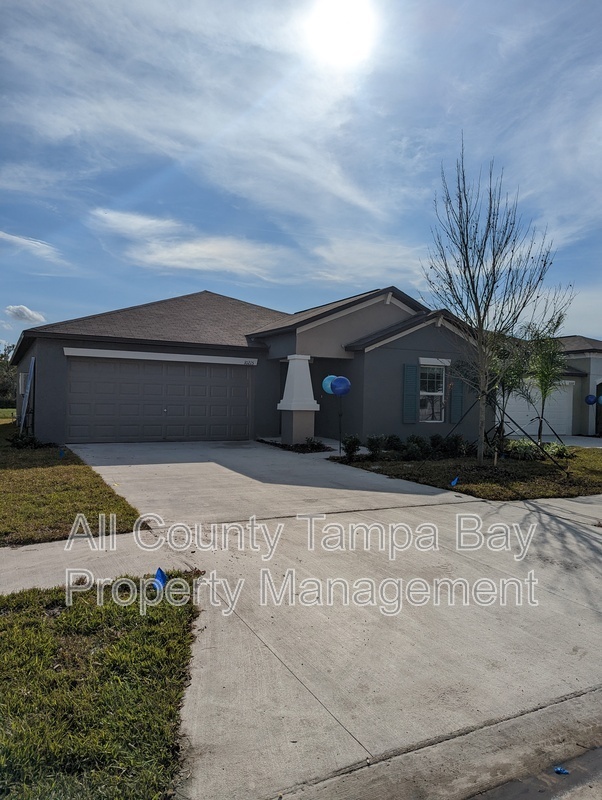 10215 Shady Preserve Dr in Riverview, FL - Foto de edificio - Building Photo