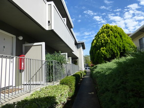 Parkview Apartments in Millbrae, CA - Building Photo - Building Photo