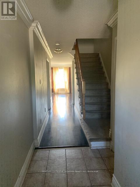 525 Novo Star Dr in Mississauga, ON - Building Photo - Building Photo