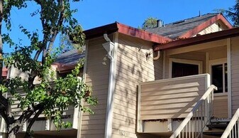 1022 Cedar Gables Dr in San Jose, CA - Building Photo