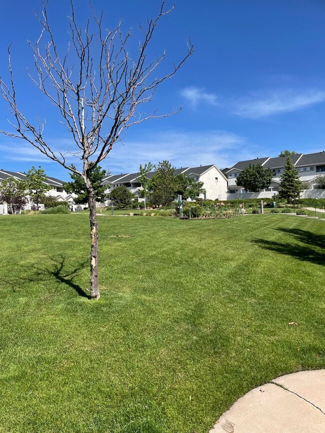 986 Mountain Crest View in Colorado Springs, CO - Building Photo - Building Photo