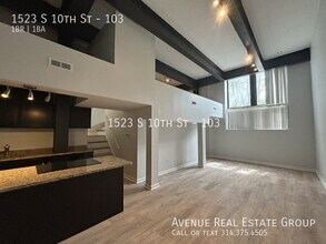 1523 S 10th St in St. Louis, MO - Foto de edificio - Building Photo